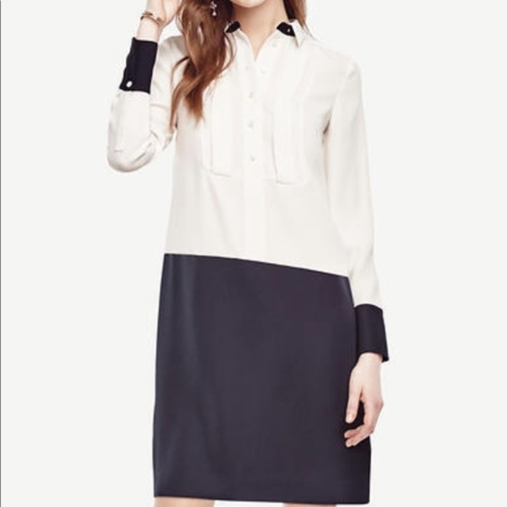 Ann Taylor Petite Color Block Shirtdress